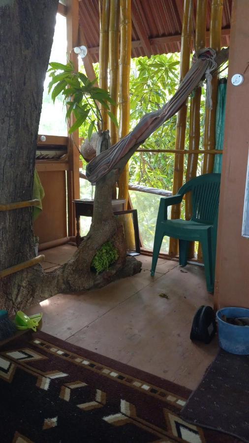 Treehouse Above The Beach Port Antonio Eksteriør billede