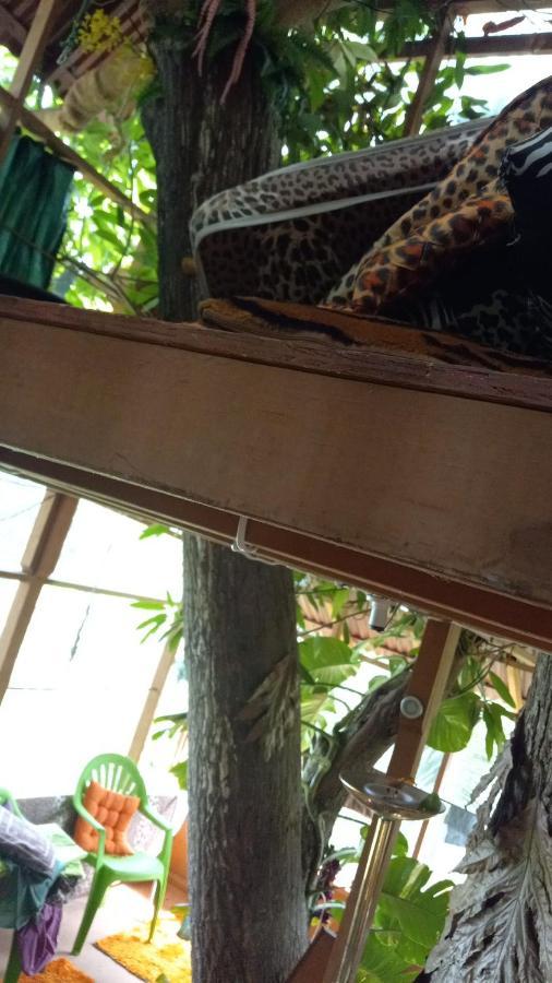 Treehouse Above The Beach Port Antonio Eksteriør billede