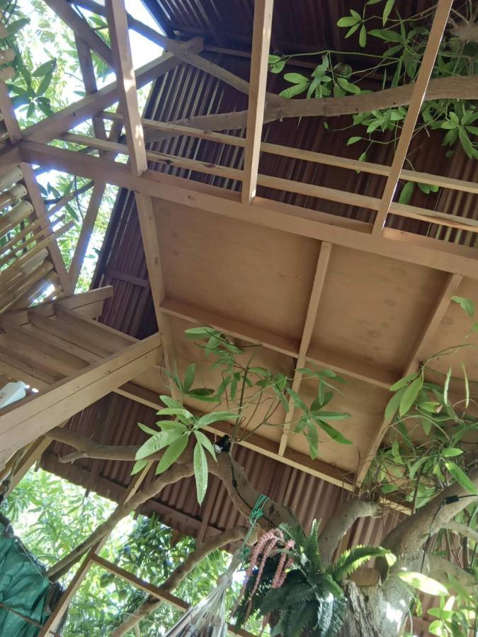 Treehouse Above The Beach Port Antonio Eksteriør billede