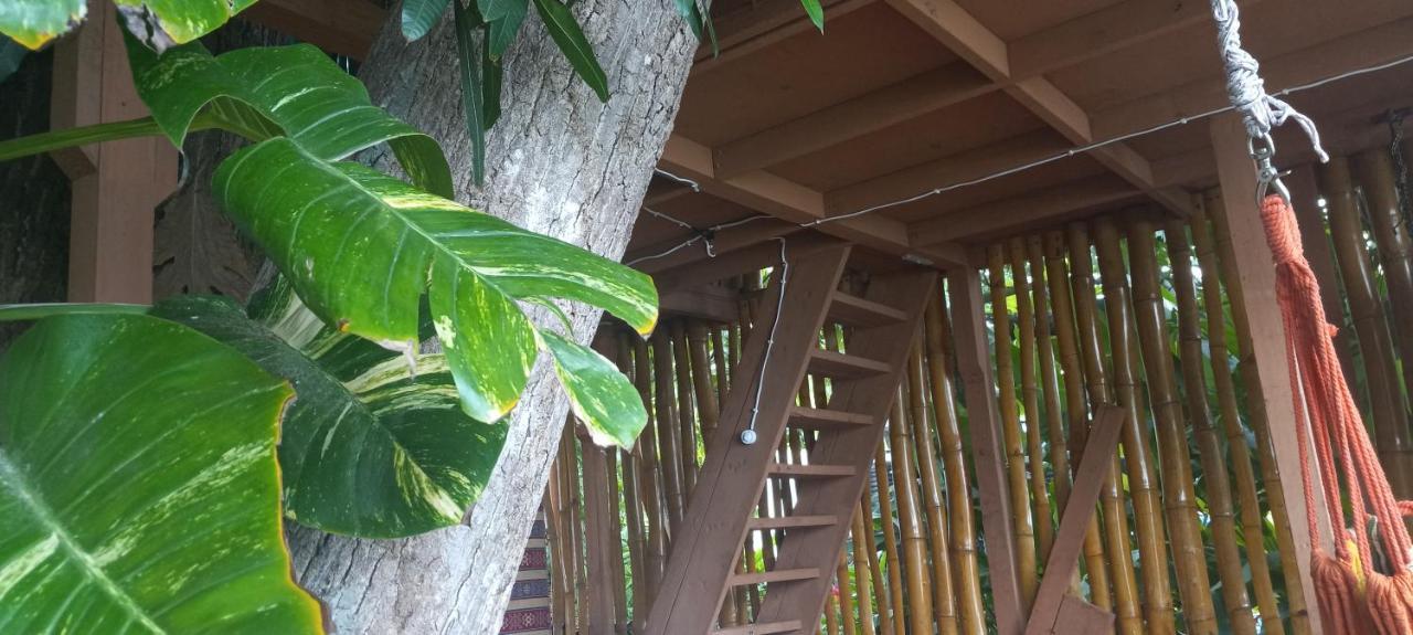Treehouse Above The Beach Port Antonio Eksteriør billede