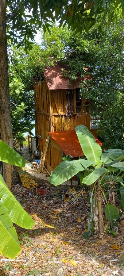 Treehouse Above The Beach Port Antonio Eksteriør billede